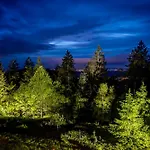 Sonnenhaeusle - Natur. Fernblick. Panorama-sauna. Sasbachwalden