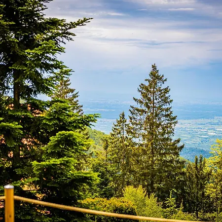 Holiday home Sonnenhaeusle - Natur. Fernblick. Panorama-sauna. Sasbachwalden