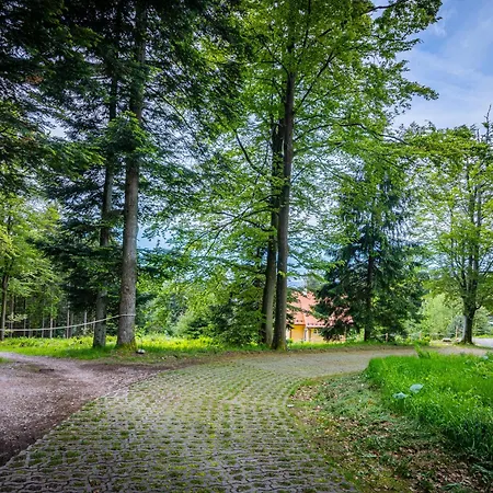 Sonnenhaeusle - Natur. Fernblick. Panorama-sauna. Holiday home