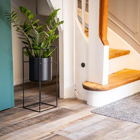 Sonnenhaeusle - Natur. Fernblick. Panorama-sauna. 度假居